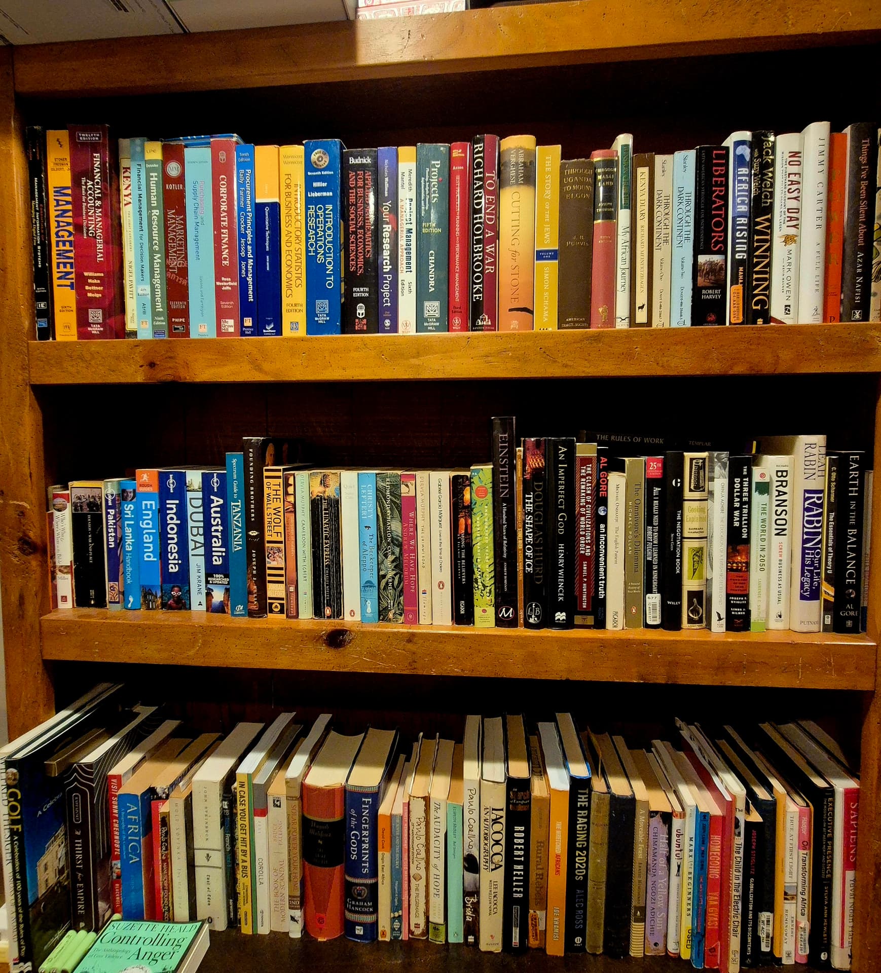 Home library shelves filled with books on management, travel, history and literature