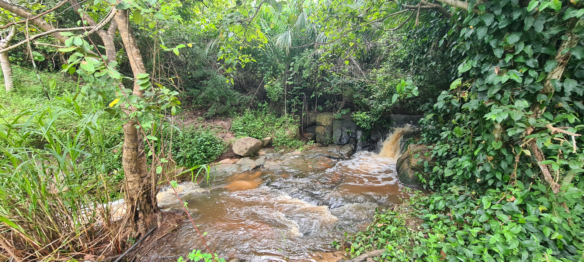 A waterfall on a seasonal stream within the Ridge